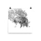 Tigers - Limited Edition - Black & White - Art Print