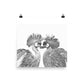 Grey Crowned Cranes - Black & White - Art Print