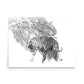Tigers - Limited Edition - Black & White - Art Print