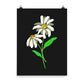 Daisy Day - Ink - Art Print