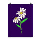 Daisy Day - Ripe Plum - Art Print