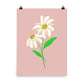 Daisy Day - Rose Fog - Art Print