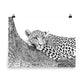 Leopard - Black & White - Art Print