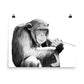 Chimpanzee - Black & White - Art Print