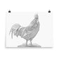 Rooster - Black & White - Art Print