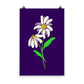 Daisy Day - Ripe Plum - Art Print