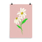 Daisy Day - Rose Fog - Art Print