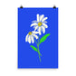 Daisy Day - Royal Blue - Art Print
