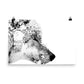 Eurasian Wolf - Black & White - Art Print