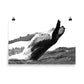 Humpback Whale - Black & White - Art Print