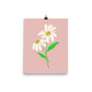 Daisy Day - Rose Fog - Art Print