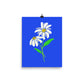 Daisy Day - Royal Blue - Art Print