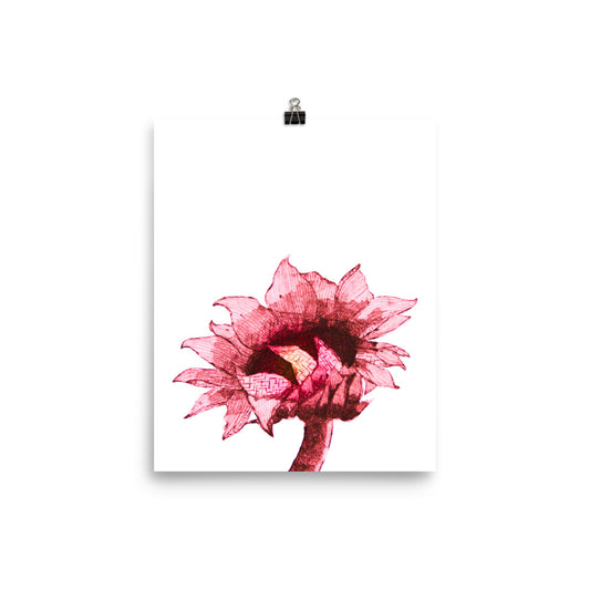 Large sunflower in red and black on a white poster.