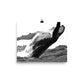 Humpback Whale - Black & White - Art Print