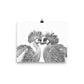 Grey Crowned Cranes - Black & White - Art Print