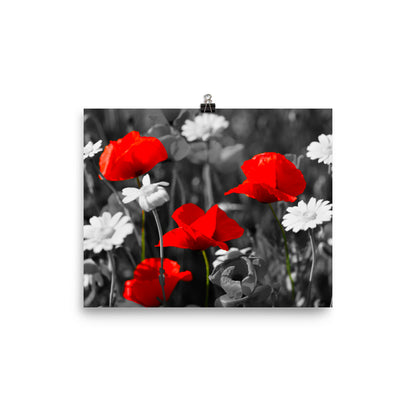 Pop of Vivid Red - Art Print