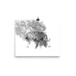 Tigers - Limited Edition - Black & White - Art Print