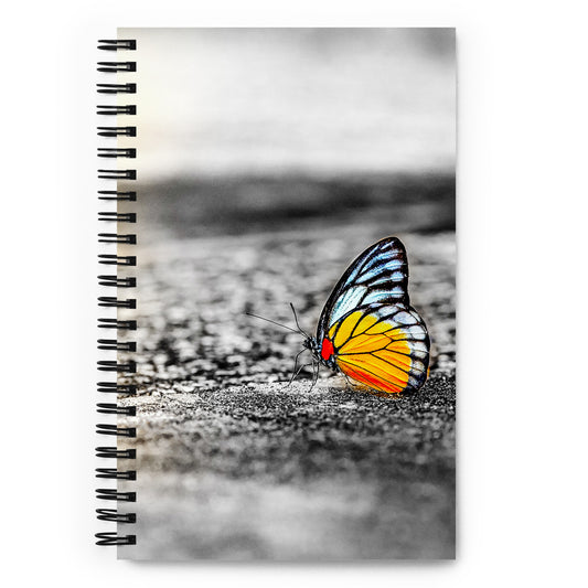 Pop of Sunrise Gold - BuJo Spiral Notebook